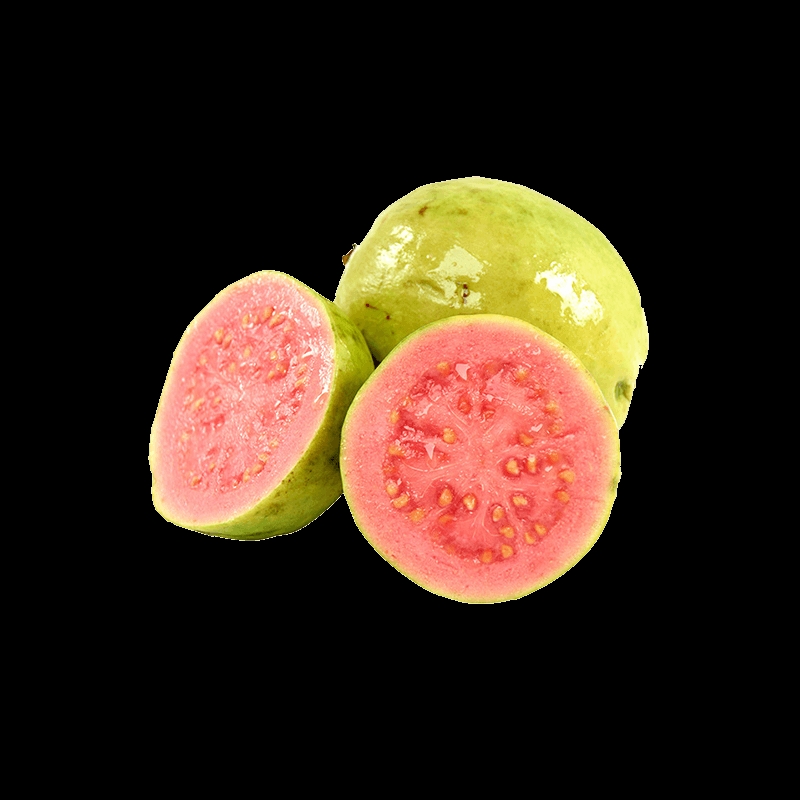 GUAVA